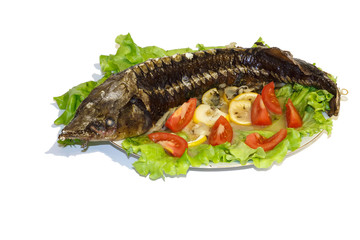 Hot smoked sturgeon on the dish