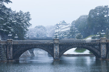 雪の皇居・二重橋