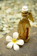 포토시리즈(해외여행)