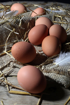 Brown Chicken Eggs and White Feather on Jute and Hay