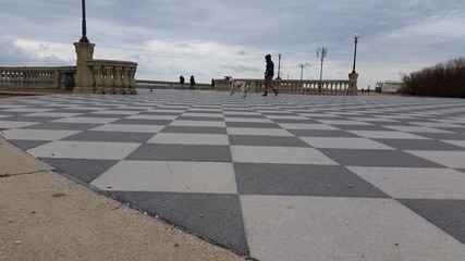 Gioco a scacchi con la mia padrona © fotoforfun