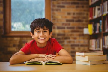 Cute boy reading book in library