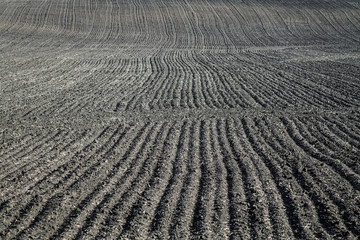 Obraz premium Plowed Field, Color Image