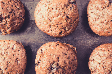 Сhocolate muffins