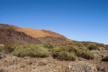 El Teide National Park (Tenerife)