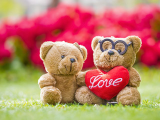 lovely teddy brown bear and red heart shape