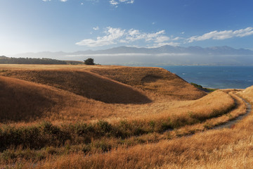 Obraz premium Views from Kaikoura Peninsula Walkway, New Zealand