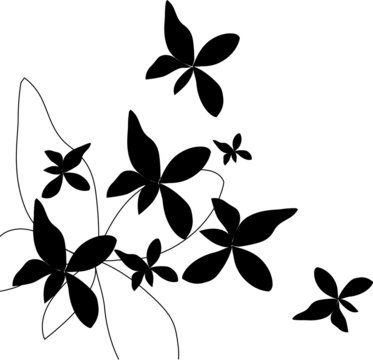 Black Flower and Butterfly on White background