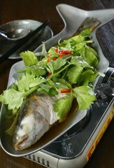 포토시리즈(음식여행)