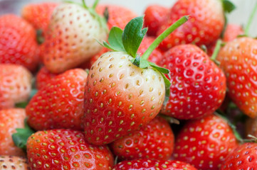 Fresh ripe perfect strawberry - Food Frame Background