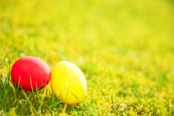 Colorful easter eggs on green meadow