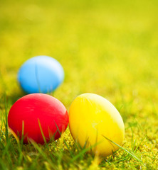 Colorful easter eggs on green meadow