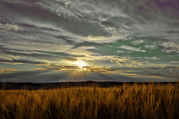 Landscape in Tuscany