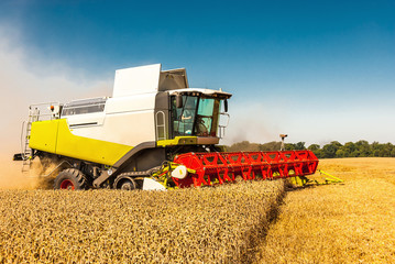 Obraz premium Mähdrescher im Einsatz
