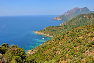 Fototapeta na wymiar paysage Corse