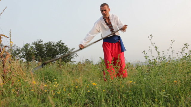 Mower ( haymaker )