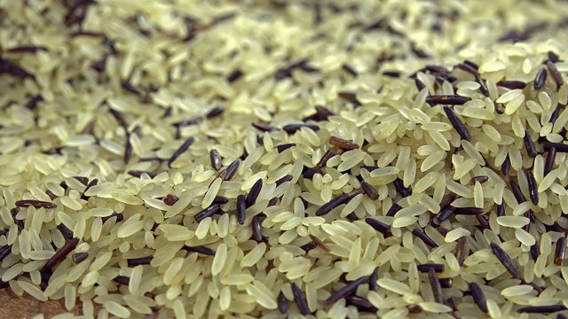 Raw mixed Rice (not loopable 4K UHD footage)
