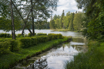 Fototapeta na wymiar Pond in the park