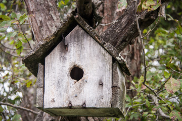 wooden birdhouse