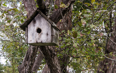 wooden birdhouse