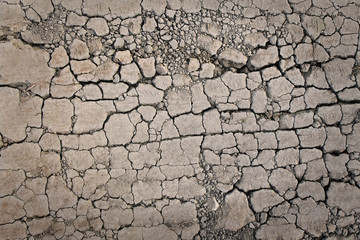 Dry ground