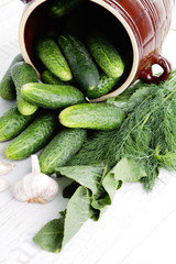 cucumber