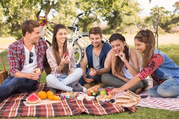 Happy friends in the park having picnic