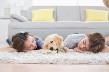 Siblings sleeping with dog on rug