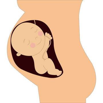 disegno di neonato nell'utero materno