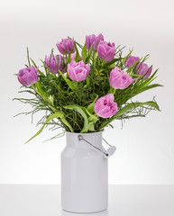 Violette Tulpen in Milchkanne