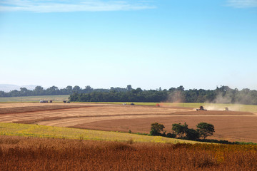 Fototapeta na wymiar Agricultural machinery harvesting soybeans.