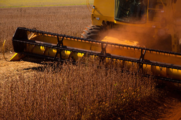 Harvester making harvesting soybean field - Mato Grosso State -