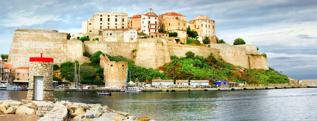 Calvi, Corsica. Panoramic view with fortress in marina