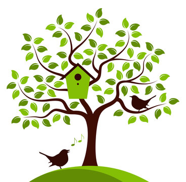 tree and birds