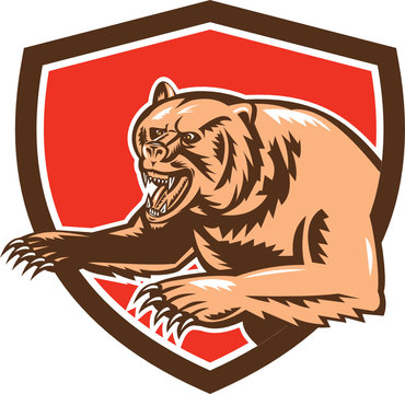 Grizzly Bear Angry Shield Retro