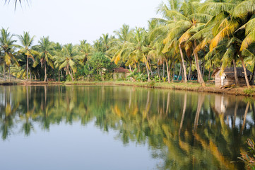 River of the backwaters at Kollam