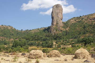 Vultures rock, Ethiopia, Africa