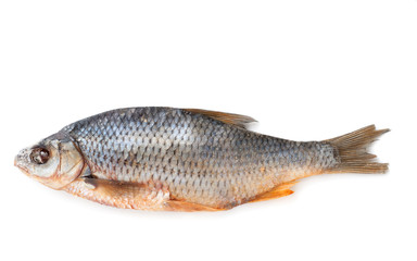 Dry roach