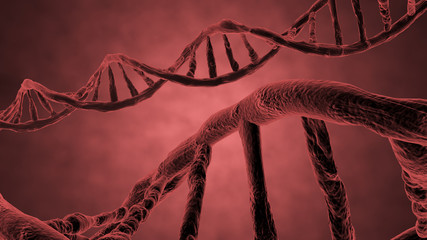 red helix of DNA