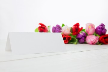 Colorful tulips and white card