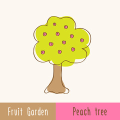 Garden fruit trees - single tree