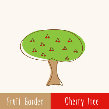 Garden fruit trees - single tree