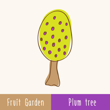 Garden fruit trees - single tree