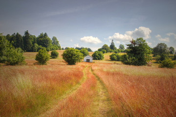 Obraz premium Lonely Chapel on Red Grass Field