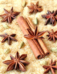 Obraz na płótnie Canvas Spices cinnamon sticks, cardamon and anise
