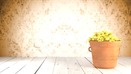 Yellow Flowers in a terracotta pot