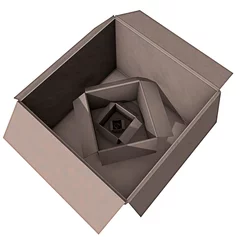 Tapeten Lege doos in een verpakking -tegenvaller © emieldelange