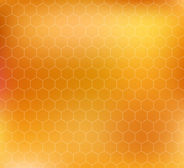 vector pattern with honeycombs