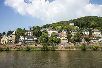 Fototapeta na wymiar Quay of Neckar river in Heidelberg in summer