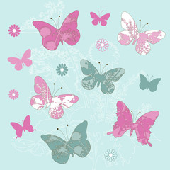flower butterflies